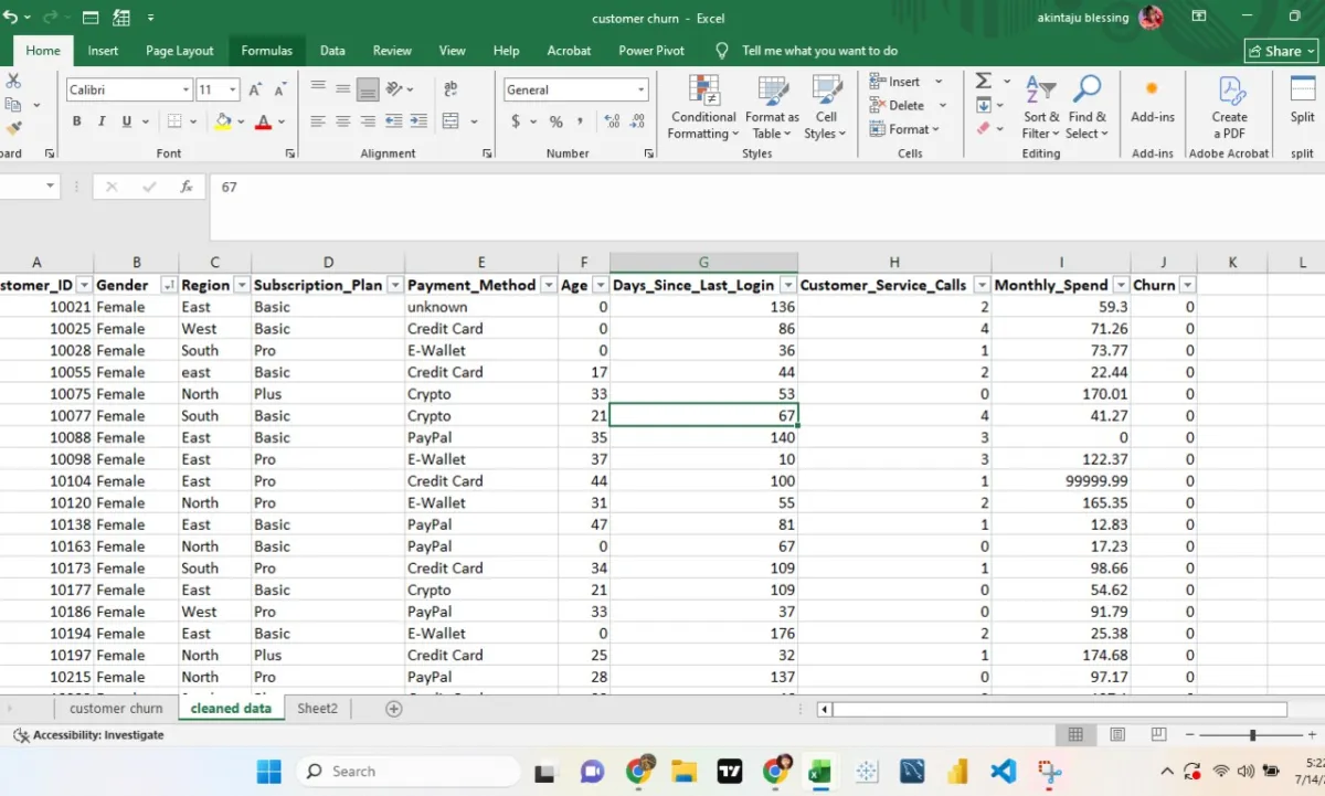 do professional Excel data entry, cleaning and spreadsheet organization for your business