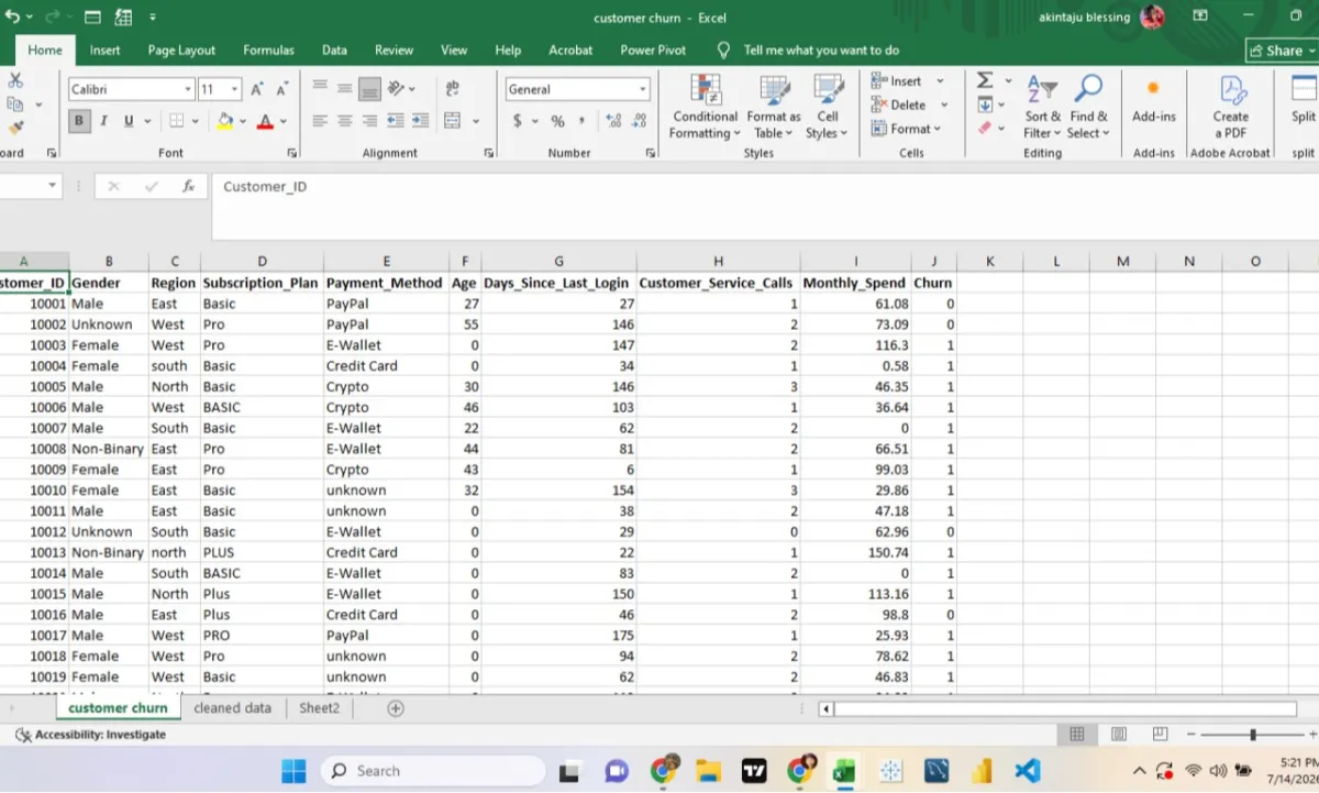do professional Excel data entry, cleaning and spreadsheet organization for your business