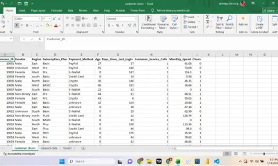do professional Excel data entry, cleaning and spreadsheet organization for your business