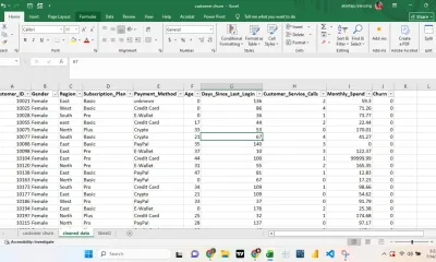 do professional Excel data entry, cleaning and spreadsheet organization for your business